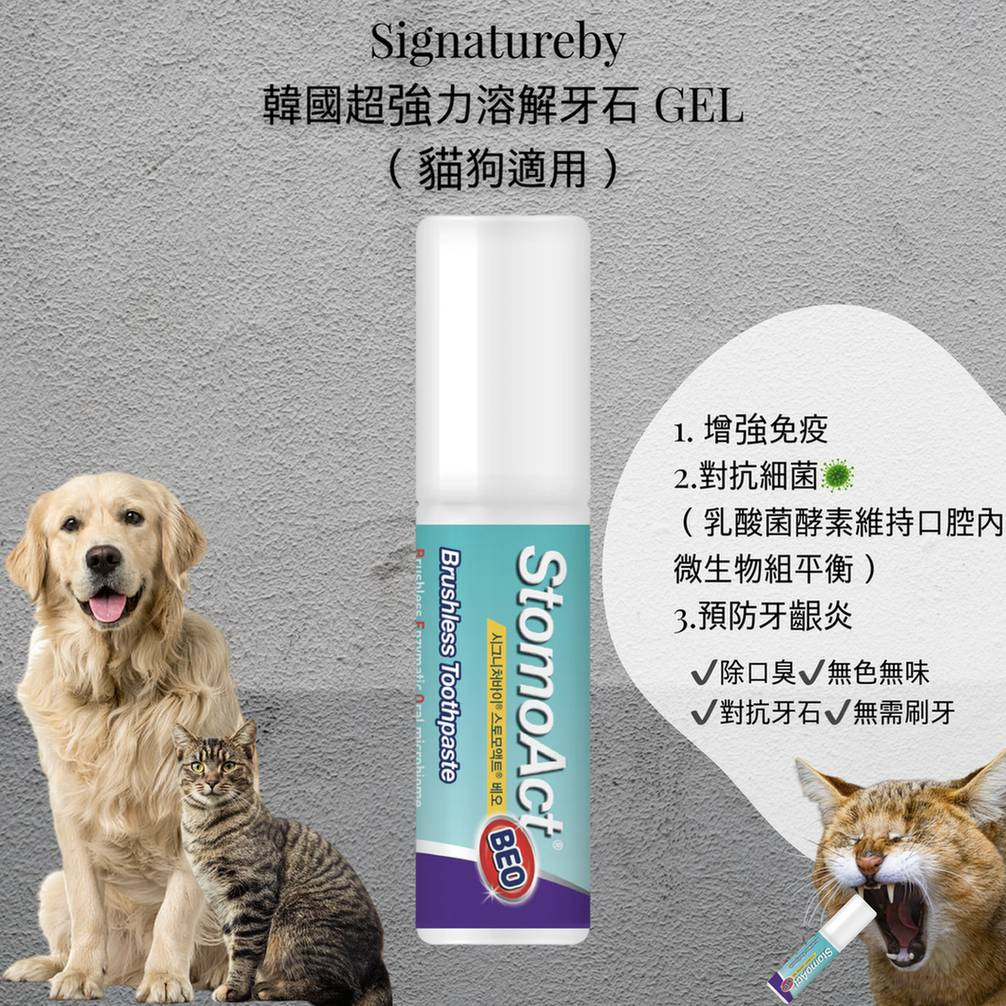 Signatureby.  超強力溶解牙石 GEL (一支)
