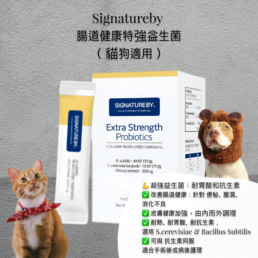 Signatureby.   腸道健康特強益生菌